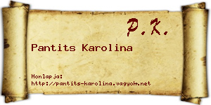 Pantits Karolina névjegykártya
